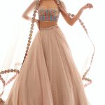 1611218907.Beige_Net_Designer_Lehenga_Choli